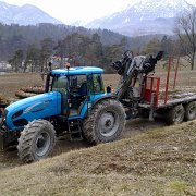 lavori forestali (2)
